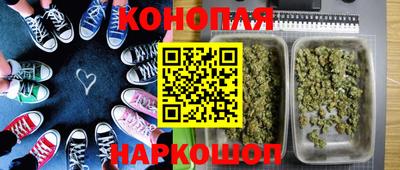 эйфоретик Новокубанск