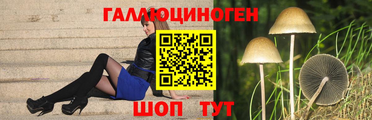 Псилоцибиновые грибы GOLDEN TEACHER Соль-Илецк